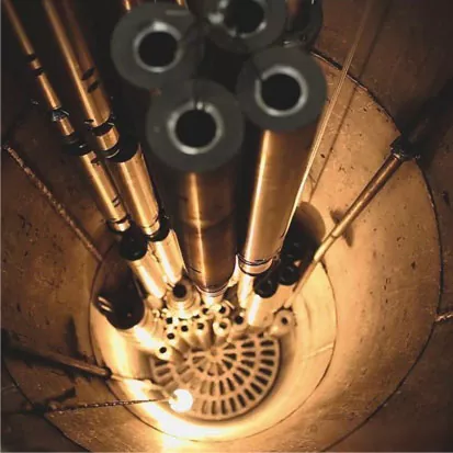 Mutant Single Screw